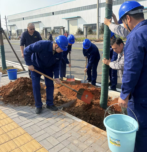 植一抹新綠，種一份希望