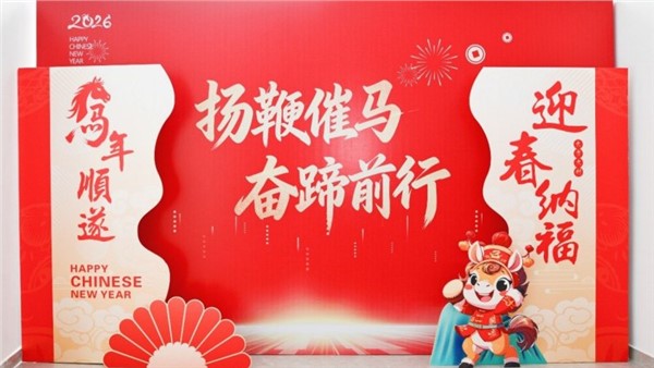 揚鞭催馬開新局，奮蹄前行譜華章——特力公司2025年度總結(jié)表彰大會圓滿舉行